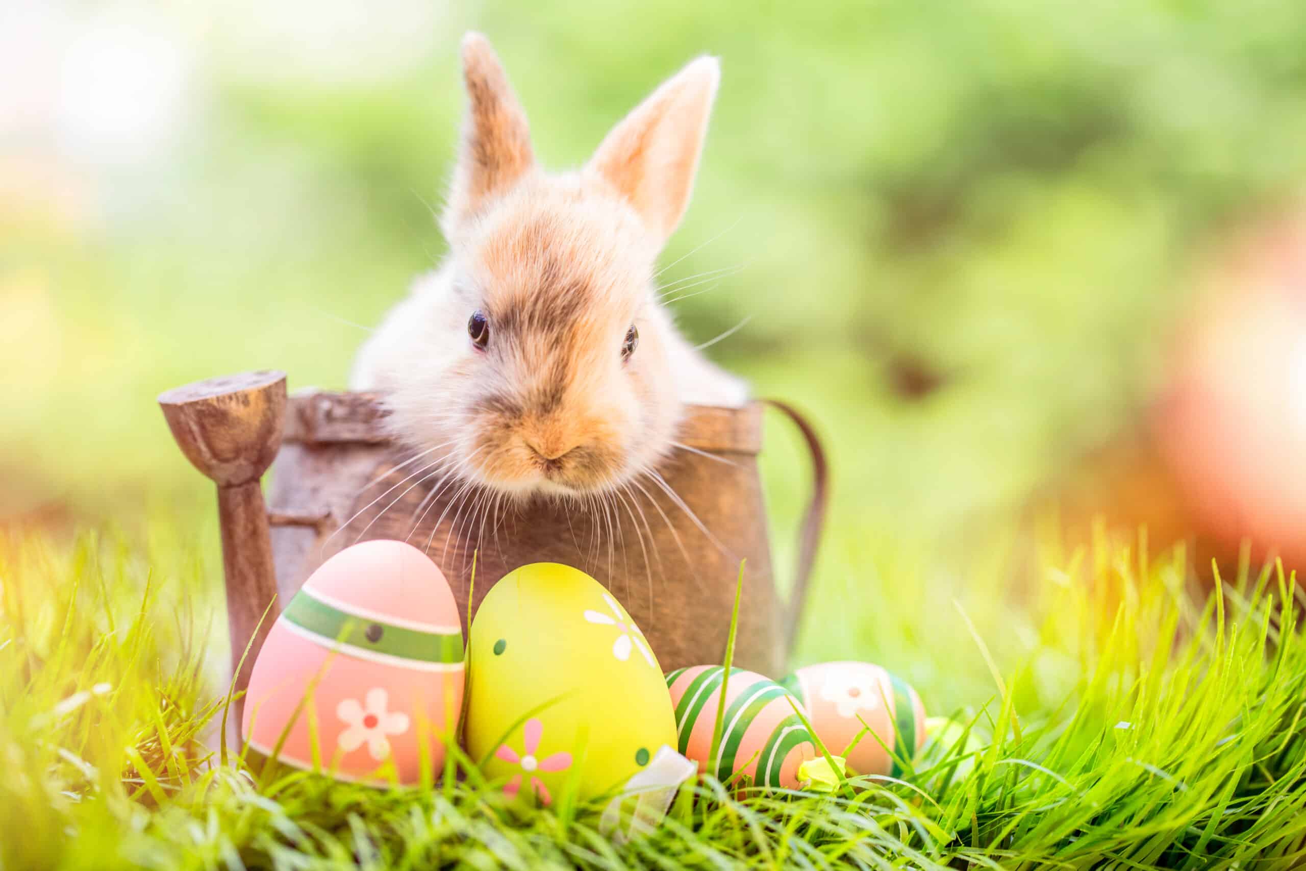IST wünscht erholsame Feiertage und schöne Ostern!